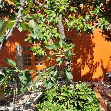 Ex Hacienda Apartment Guanajuato Exterior photo